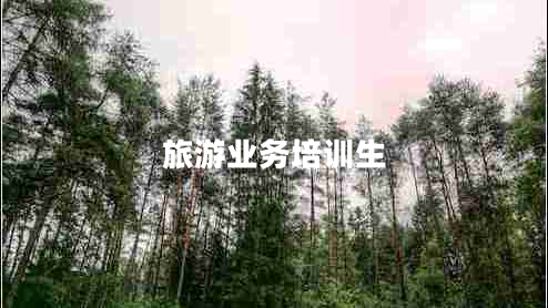 旅游業(yè)務(wù)培訓(xùn)生