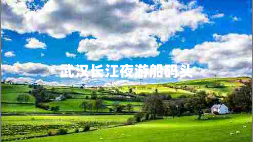 武漢長(zhǎng)江夜游船碼頭