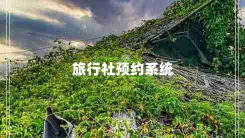 旅行社預約系統(tǒng)