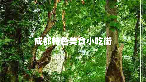 成都特色美食小吃街