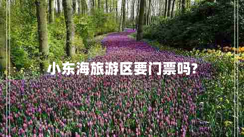 小東海旅游區(qū)要門(mén)票嗎?