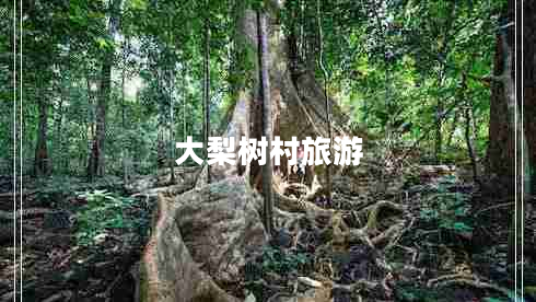大梨樹村旅游