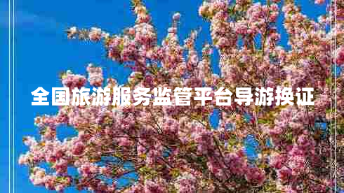 全國(guó)旅游服務(wù)監(jiān)管平臺(tái)導(dǎo)游換證