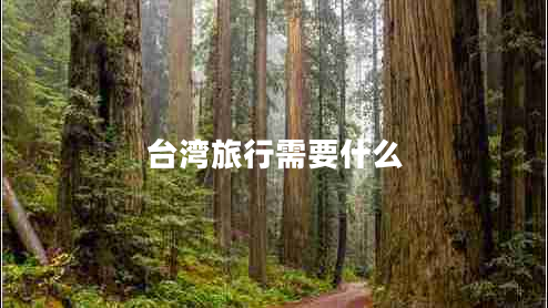 臺(tái)灣旅行需要什么