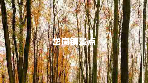 岱崮鎮(zhèn)景點(diǎn)