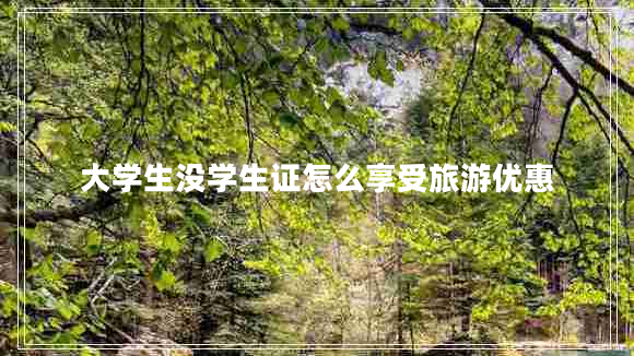大學生沒學生證怎么享受旅游優(yōu)惠
