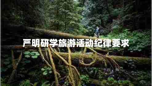 嚴明研學(xué)旅游活動紀律要求