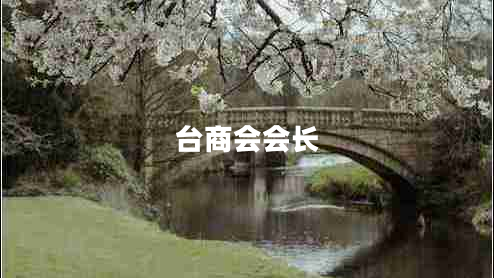 臺(tái)商會(huì)會(huì)長(zhǎng)