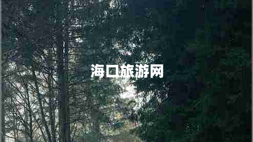 ?？诼糜尉W(wǎng)