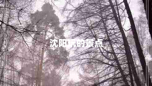 沈陽玩的景點(diǎn)
