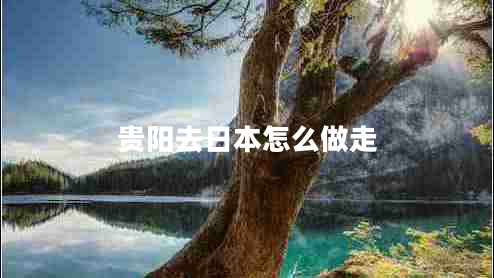 貴陽去日本怎么做走