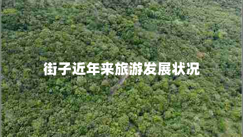 街子近年來(lái)旅游發(fā)展?fàn)顩r