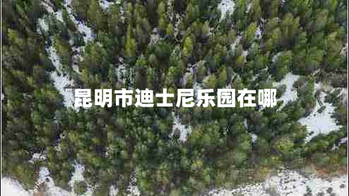 昆明市迪士尼樂園在哪