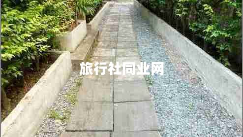 旅行社同業(yè)網