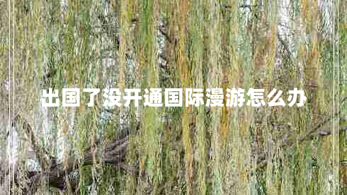 出國(guó)了沒(méi)開(kāi)通國(guó)際漫游怎么辦