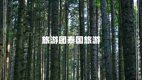 旅游團(tuán)泰國旅游