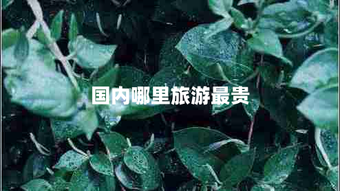 國(guó)內(nèi)哪里旅游最貴