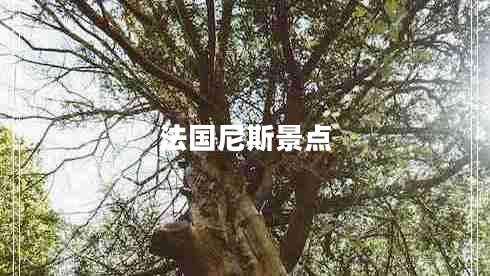 法國(guó)尼斯景點(diǎn)