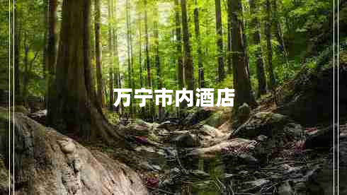 萬寧市內酒店