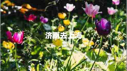 濟(jì)南去上海
