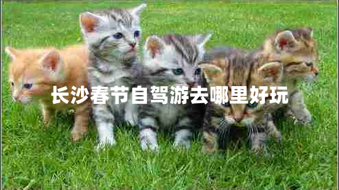 長(zhǎng)沙春節(jié)自駕游去哪里好玩