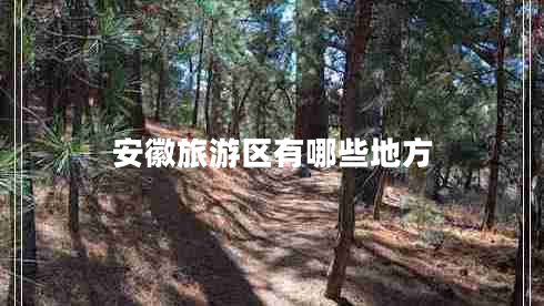 安徽旅游區(qū)有哪些地方