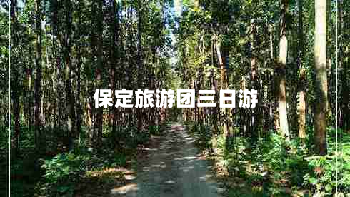 保定旅游團(tuán)三日游