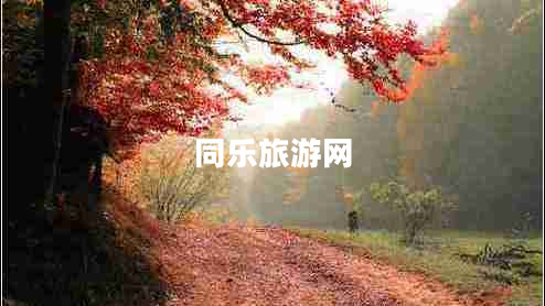 同樂旅游網(wǎng)