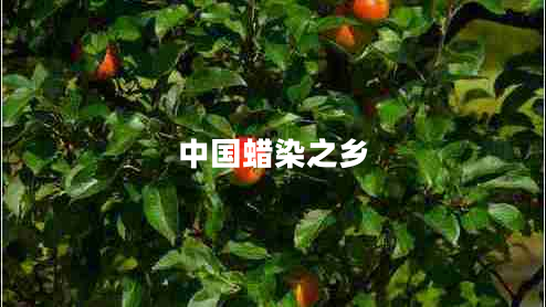 中國(guó)蠟染之鄉(xiāng)