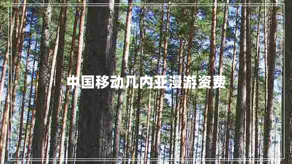 中國(guó)移動(dòng)幾內(nèi)亞漫游資費(fèi)