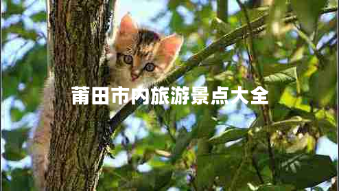 莆田市內(nèi)旅游景點(diǎn)大全