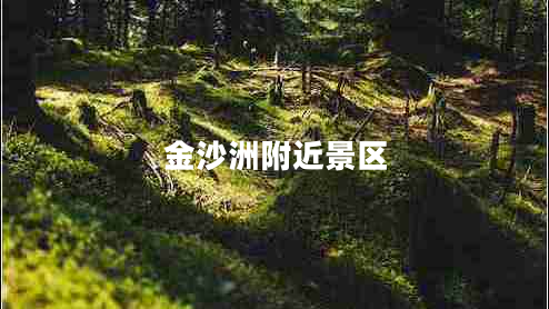 金沙洲附近景區(qū)