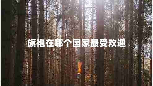 旗袍在哪個(gè)國(guó)家最受歡迎