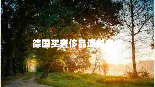 德國買奢侈品退稅多少