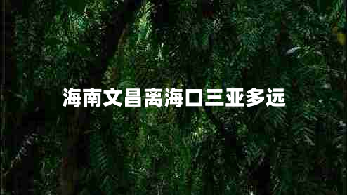 海南文昌離海口三亞多遠(yuǎn)