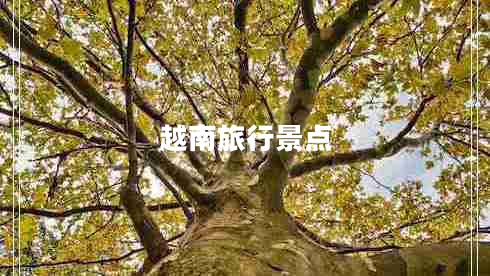 越南旅行景點