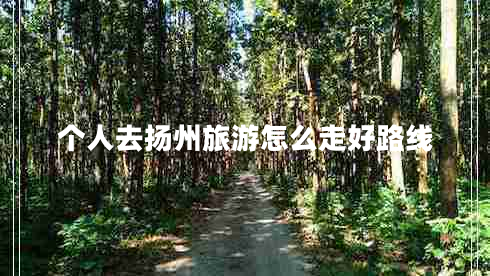 個(gè)人去揚(yáng)州旅游怎么走好路線