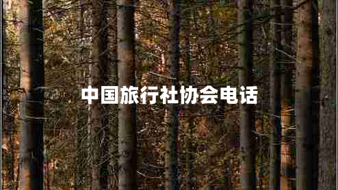 中國旅行社協(xié)會電話