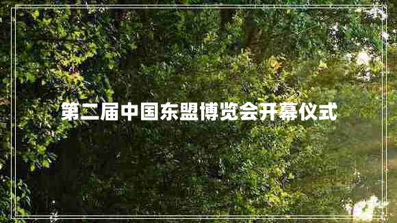 第二屆中國東盟博覽會開幕儀式