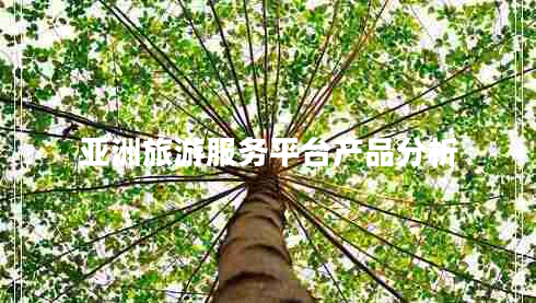 亞洲旅游服務平臺產品分析