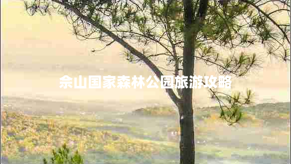佘山國(guó)家森林公園旅游攻略