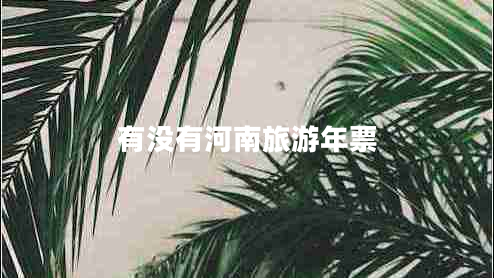 有沒有河南旅游年票