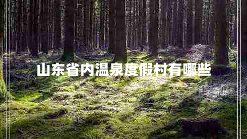 山東省內(nèi)溫泉度假村有哪些