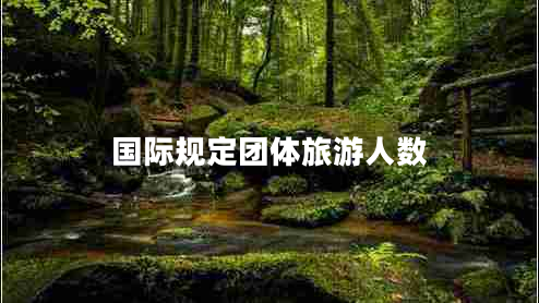 國(guó)際規(guī)定團(tuán)體旅游人數(shù)