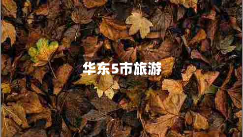 華東5市旅游