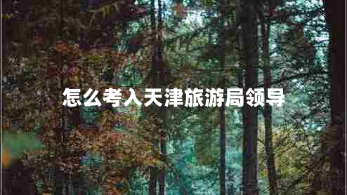怎么考入天津旅游局領(lǐng)導(dǎo)