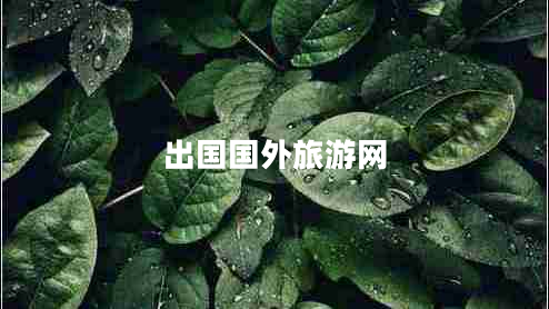 出國(guó)國(guó)外旅游網(wǎng)