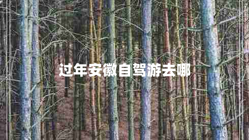 過年安徽自駕游去哪