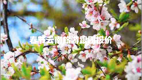 春節(jié)云南旅游跟團報價
