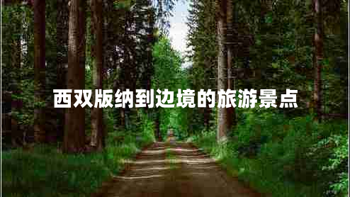 西雙版納到邊境的旅游景點